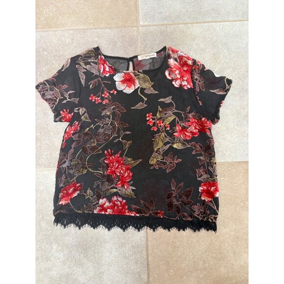 Dark Romantic Velvet Burnout Sheer Floral Sz M Top Lace Whimsigoth Sheer Fairy - Picture 4 of 14